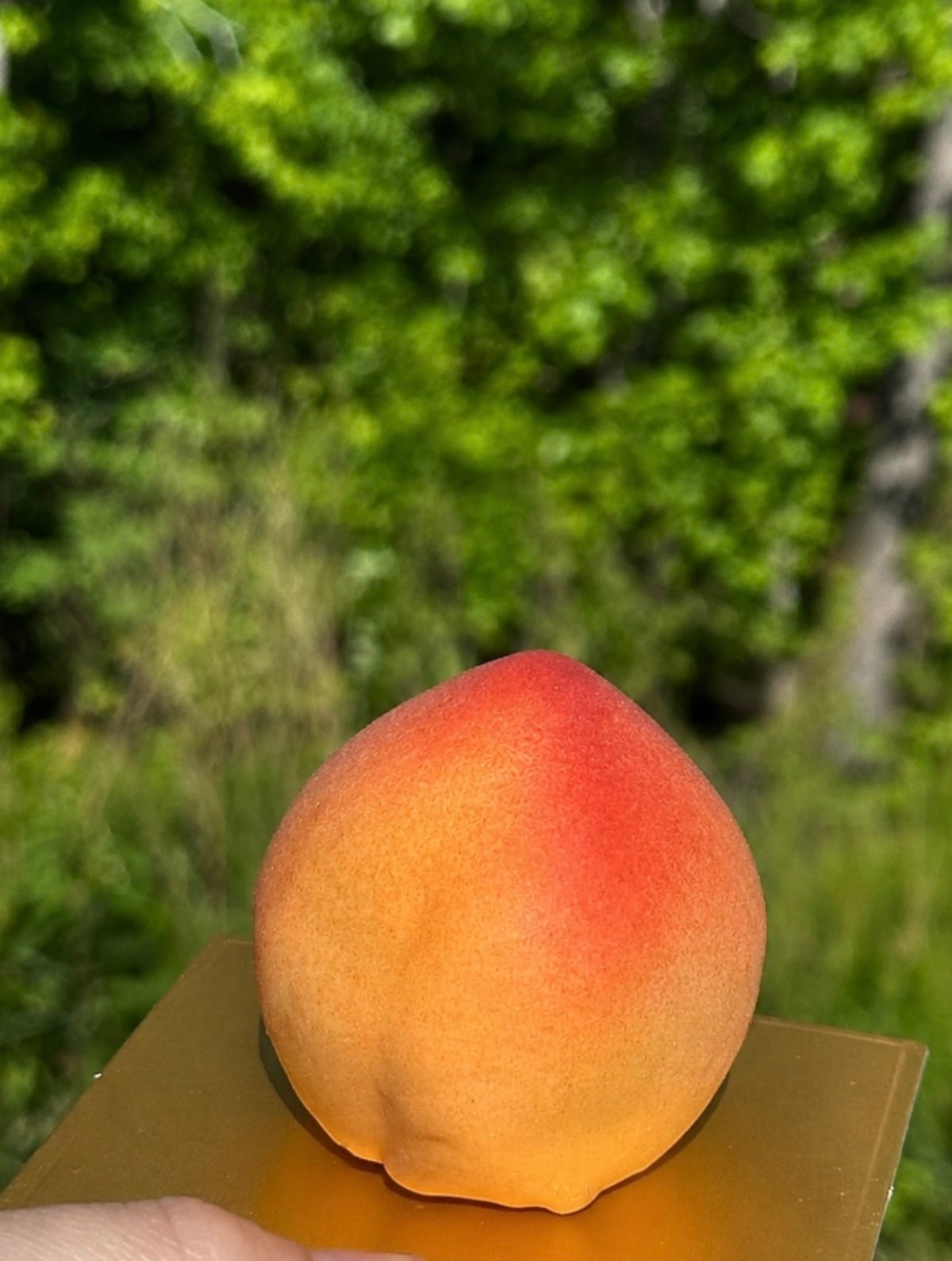 The Fruit Pastries
