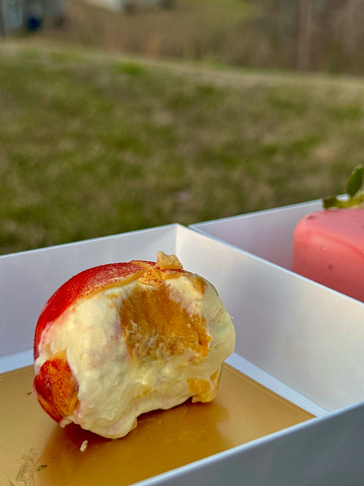 The Fruit Pastries