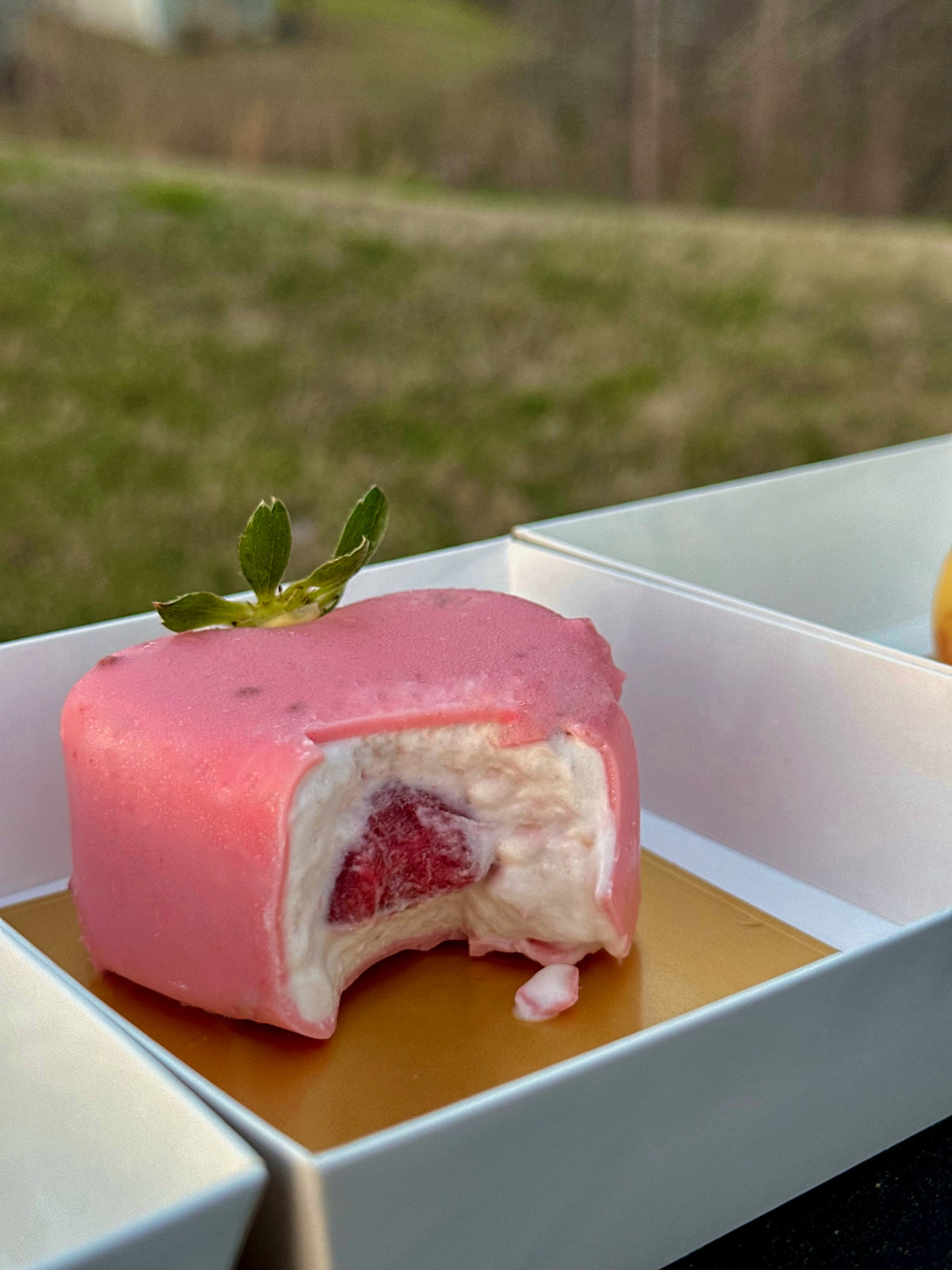 The Fruit Pastries