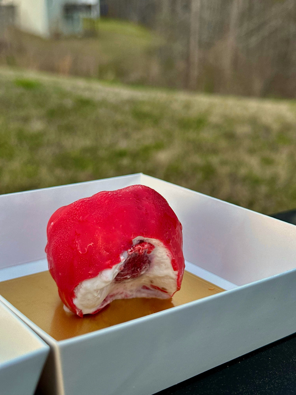 The Fruit Pastries